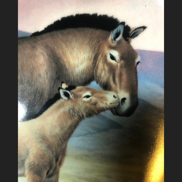 Przewalski’s Horse Bradford Exchange Plate - Picture 2 of 7